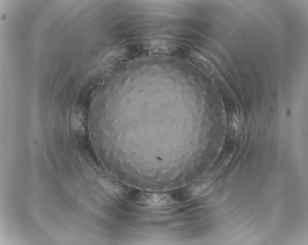 X0000088640663200705251459