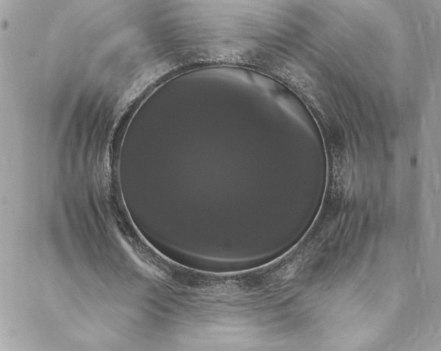 X0000088640674200705251458