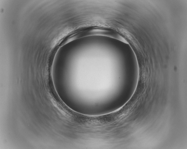 X0000088640677200705251458