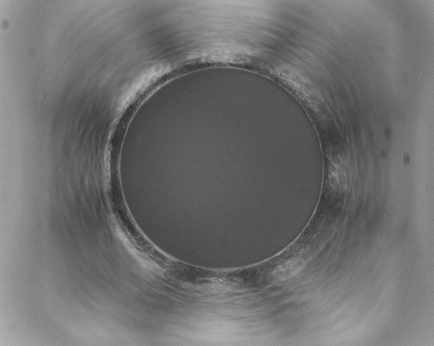 X0000088640678200705251458