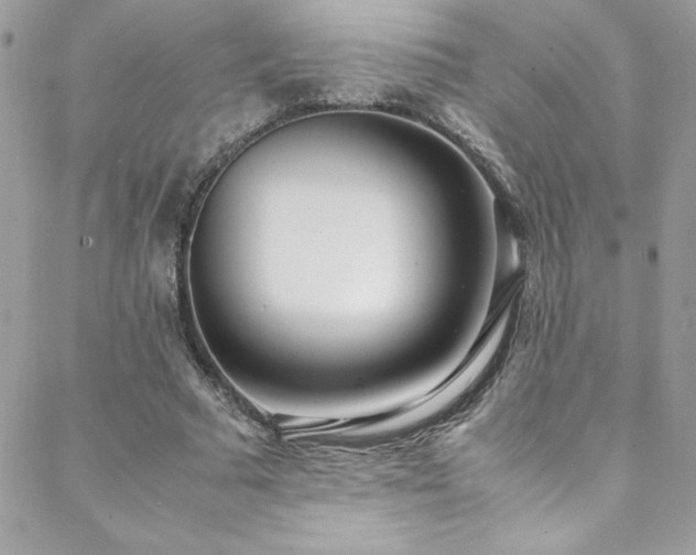 X0000088640681200705251458