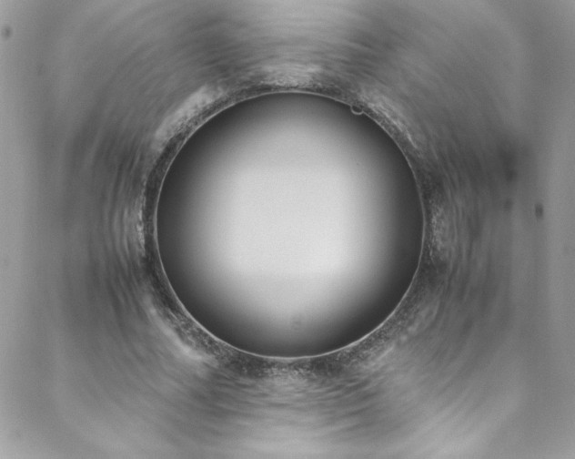 X0000088640682200705251458