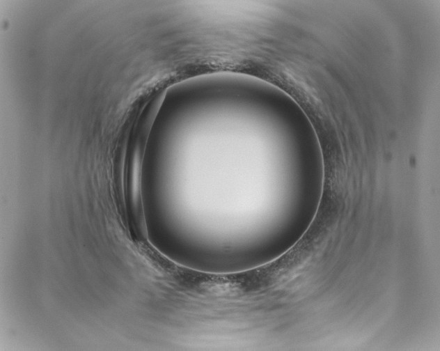 X0000088640689200705251458
