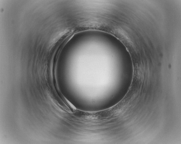 X0000088640692200705251458