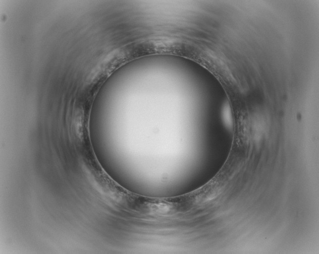 X0000088640698200705251458