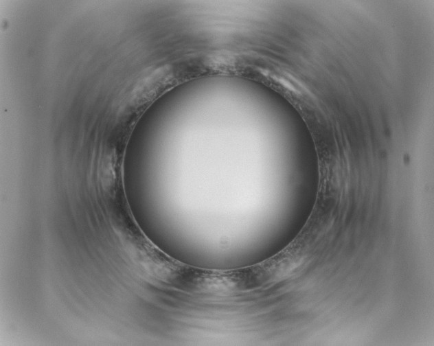 X0000088640702200705251458