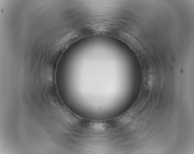 X0000088640710200705251458
