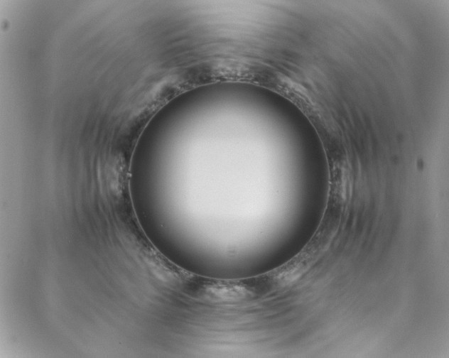 X0000088640712200705251458