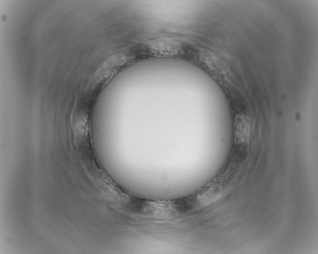 X0000088640713200705251458