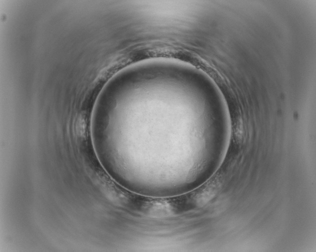 X0000088640715200705251457