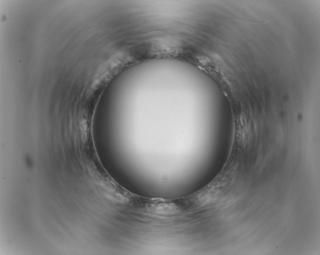 X0000088640716200705251457