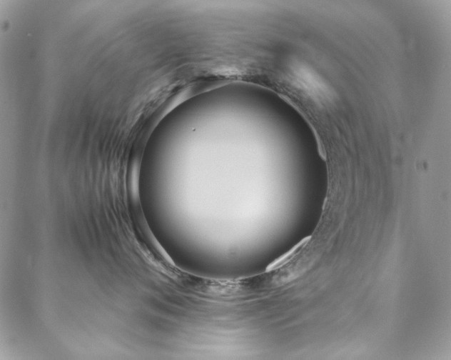 X0000088640720200705251457