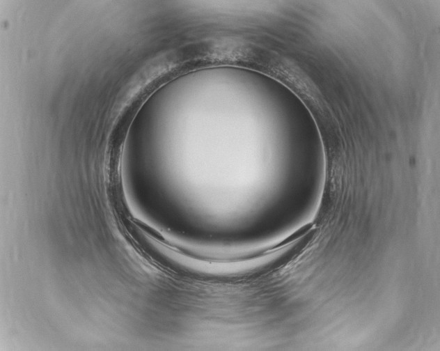 X0000088640722200705251457