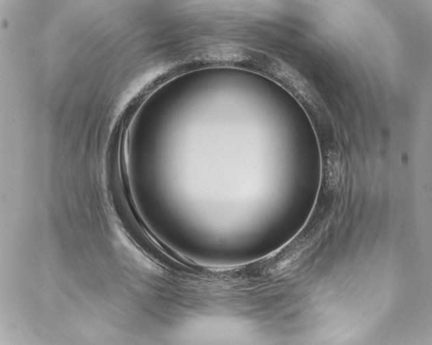X0000088640726200705251457