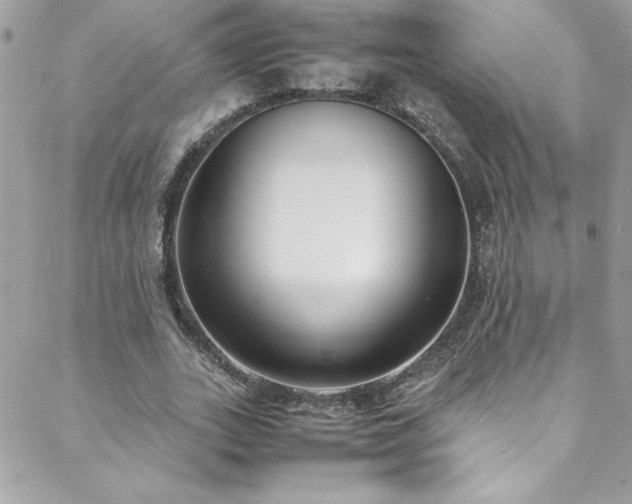 X0000088640727200705251457