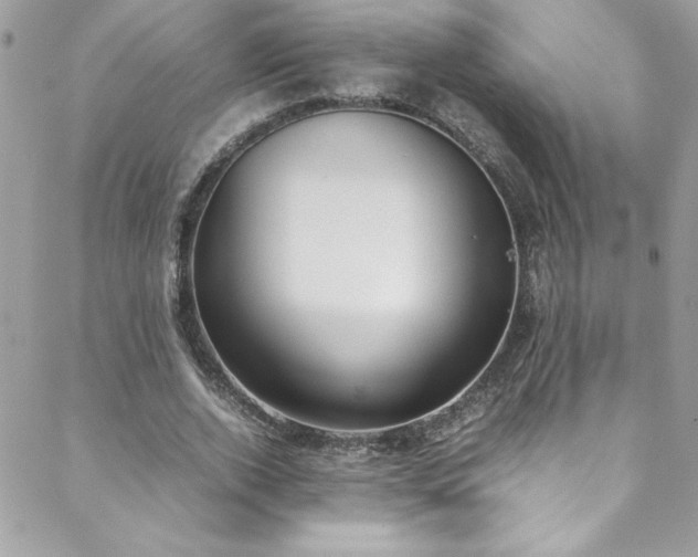 X0000088640728200705251457