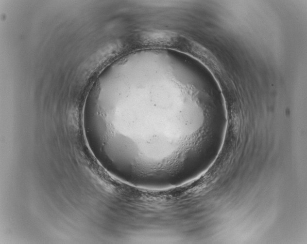 X0000088640729200705251457