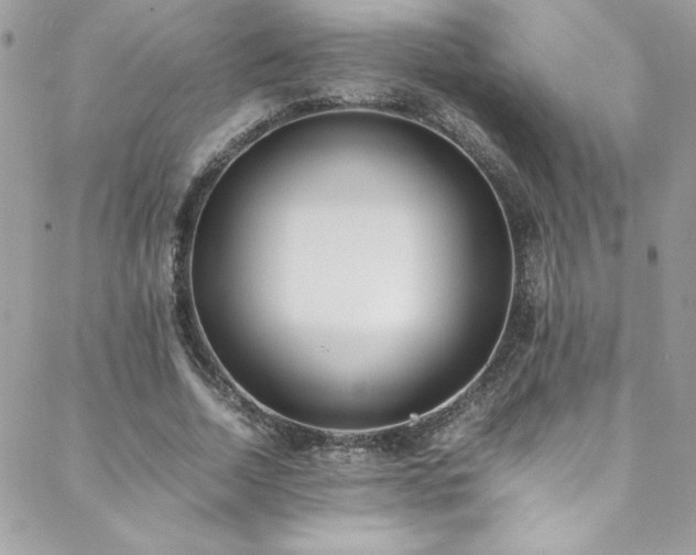 X0000088640730200705251457