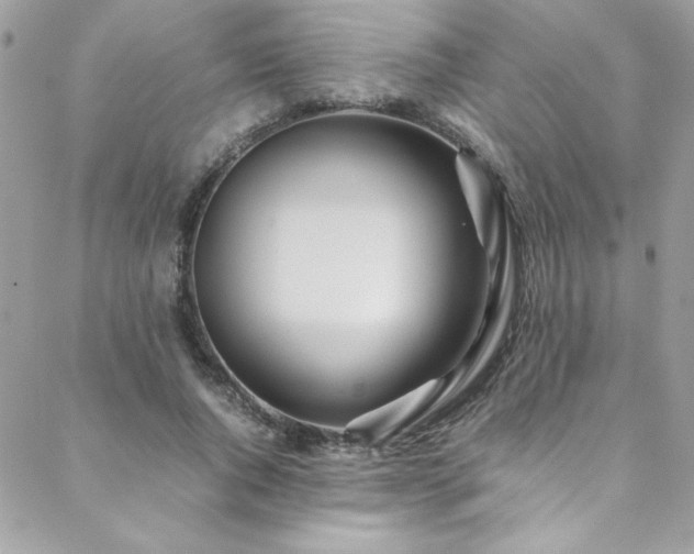 X0000088640736200705251457