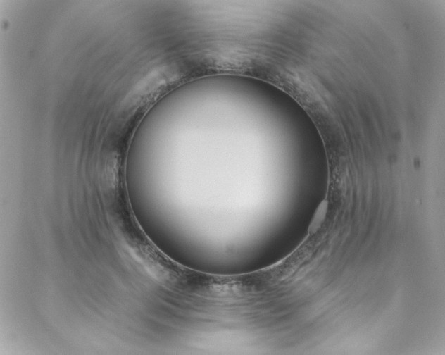 X0000088640744200705251457