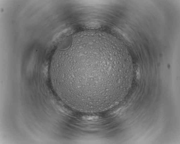 X0000088640745200705251457