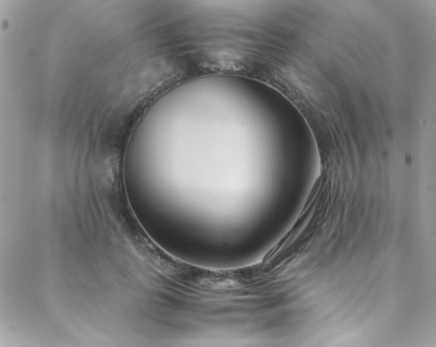 X0000088640747200705251457