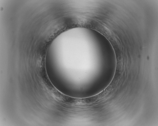 X0000088640750200705251457