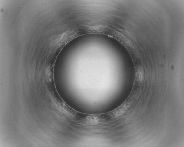 X0000088640764200705251457
