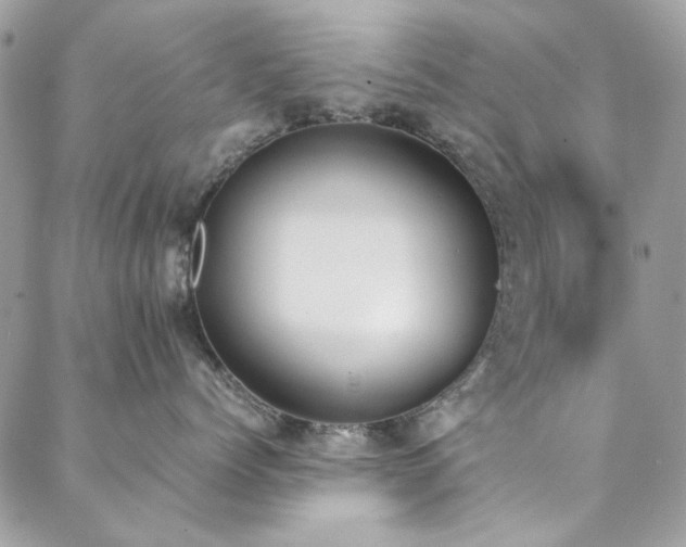 X0000088640768200705251457