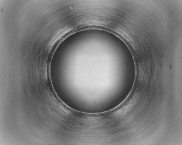 X0000088640782200705251456
