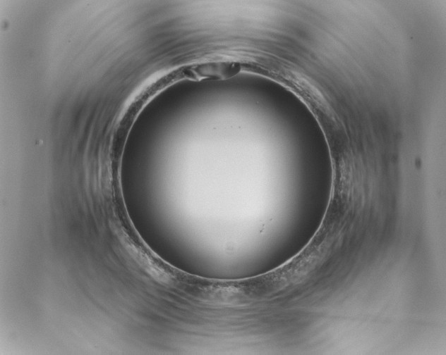 X0000088640784200705251456
