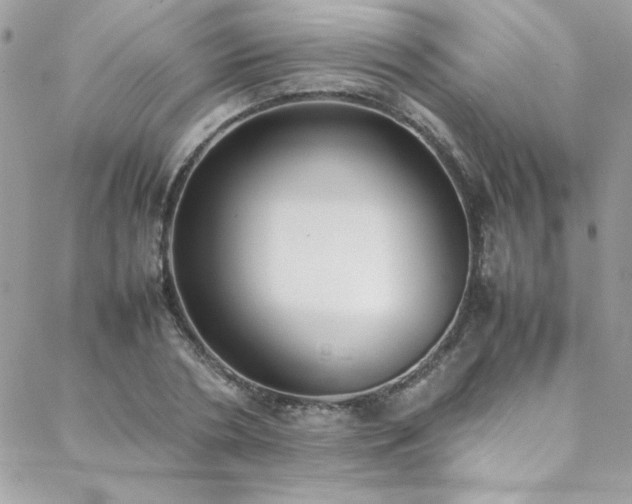 X0000088640786200705251456