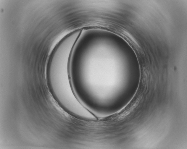 X0000088640788200705251456