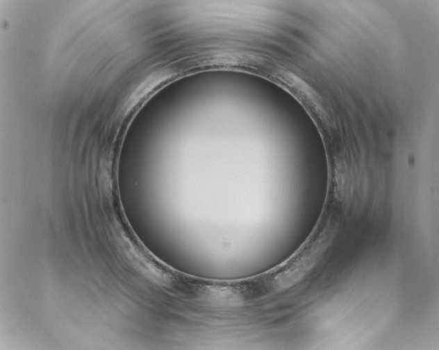 X0000088640794200705251456