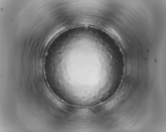 X0000088640798200705251456