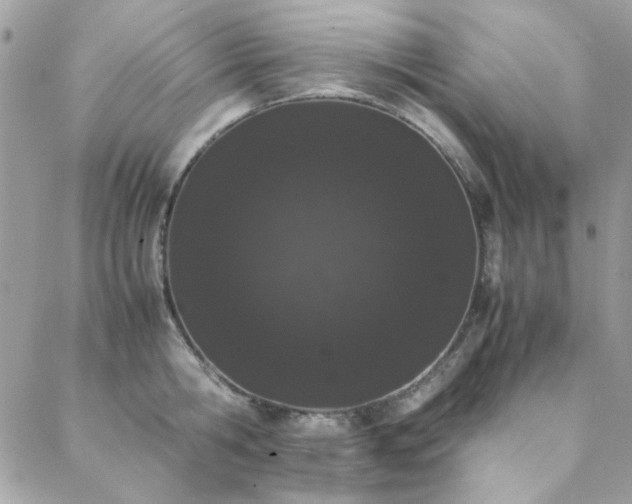 X0000088640806200705251456