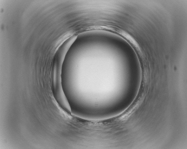 X0000088640809200705251456