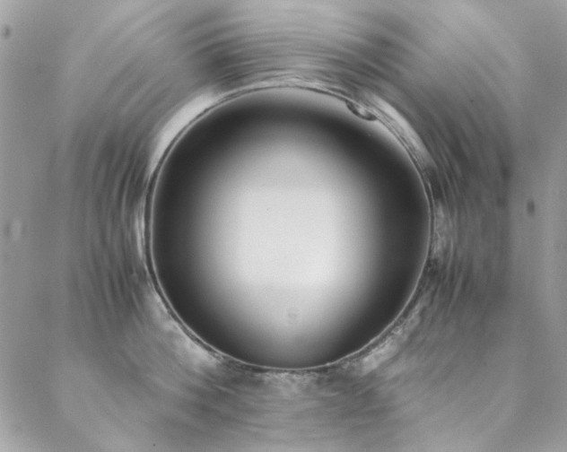 X0000088640812200705251456
