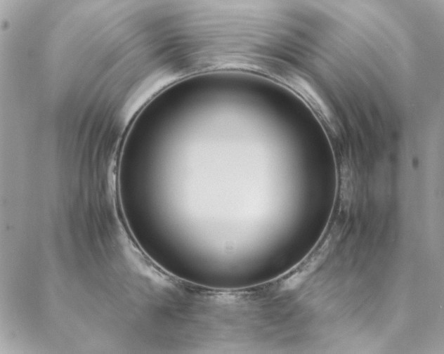 X0000088640814200705251456