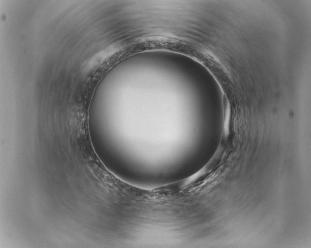 X0000088640822200705251455