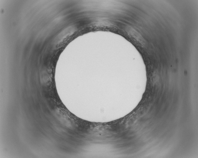 X0000088640824200705251455