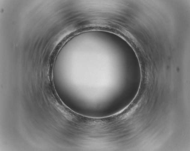 X0000088640830200705251455