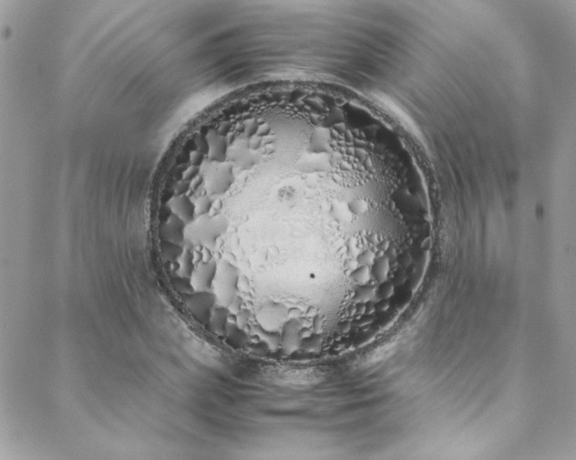 X0000088640831200705251455