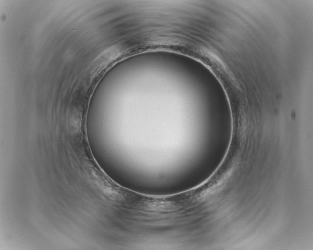 X0000088640833200705251455