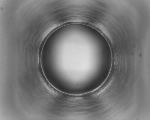 X0000088640837200705251455