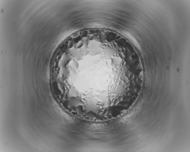 X0000088640839200705251455