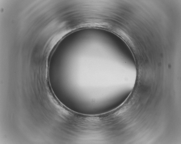 X0000088640844200705251456