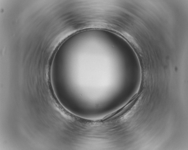 X0000088640846200705251456