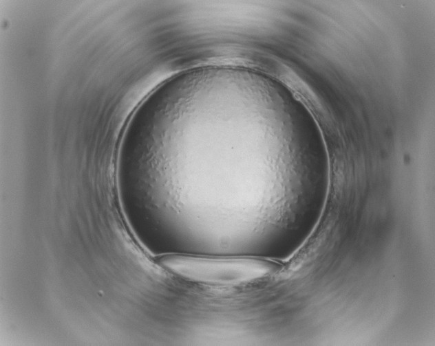 X0000088640852200705251456