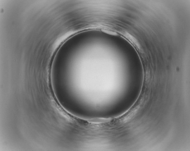 X0000088640854200705251456
